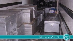 Document 3 300x170 - Document-3