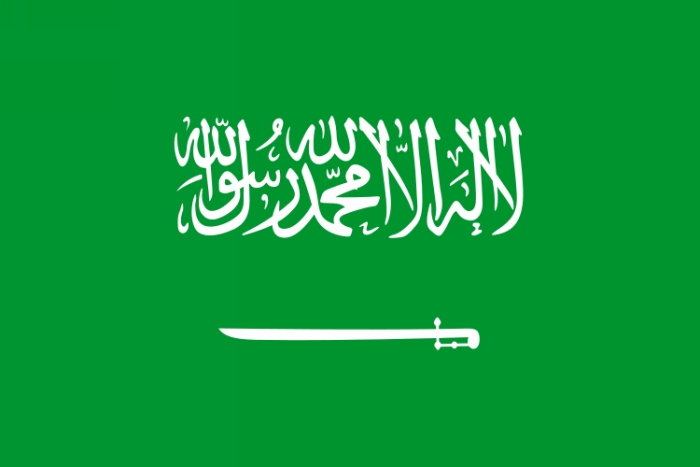 0f06e7d58552c9eab37409eef4974b01 - حمایت عربستان از راه‌حل سیاسی در یمن، سوریه و لیبی