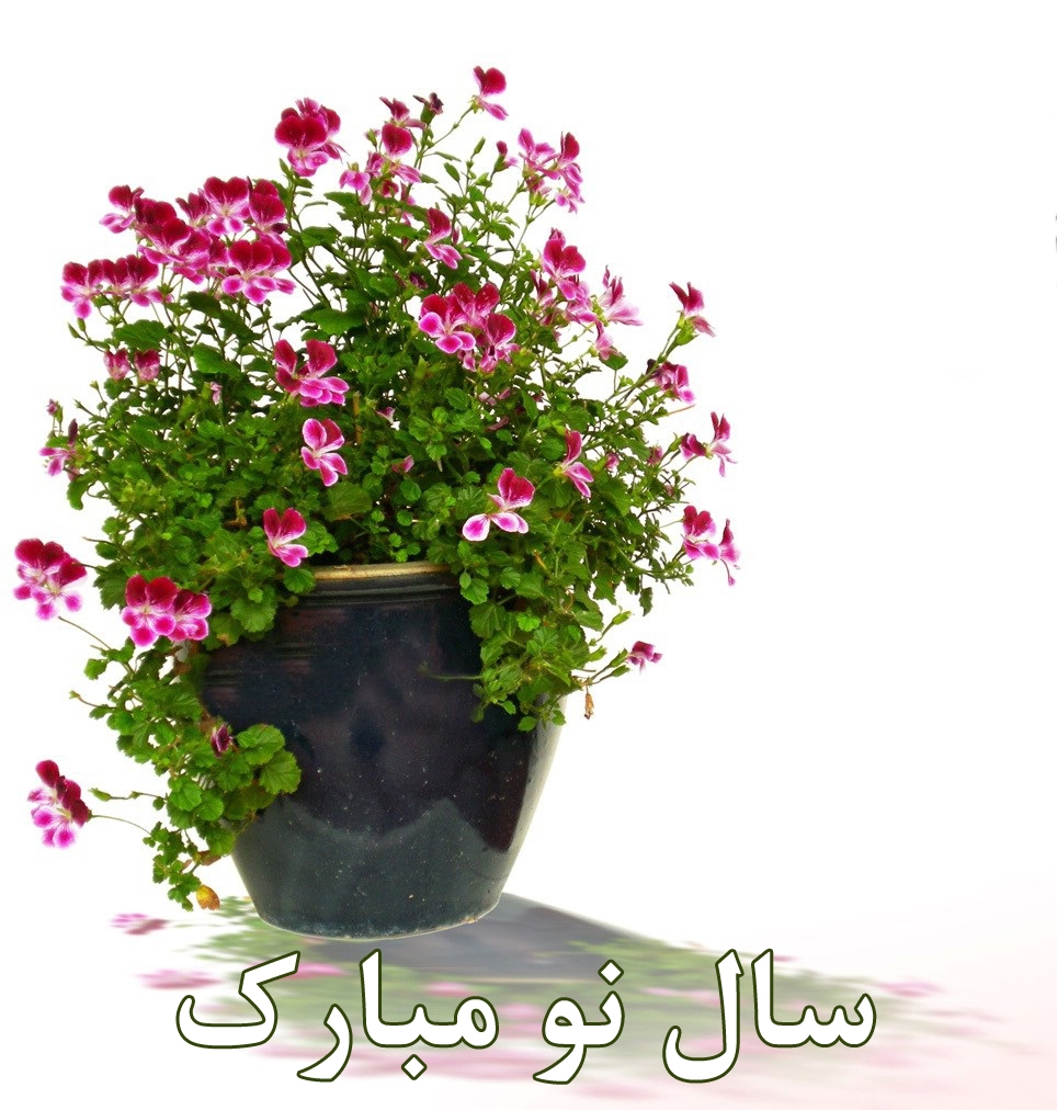 3e1b13ed5e0b5340a5136d8da8daa9be - چند رباعی بهاری