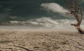 d300c15291530cc9c985c69ab51638e1 - اروپا درگیر بدترین خشکسالی دو هزار سال اخیر