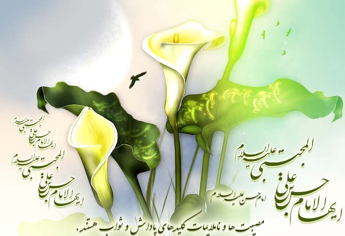 f8b84457f79954b52239c255e44b3bb1 - میلاد امام حسن (ع)